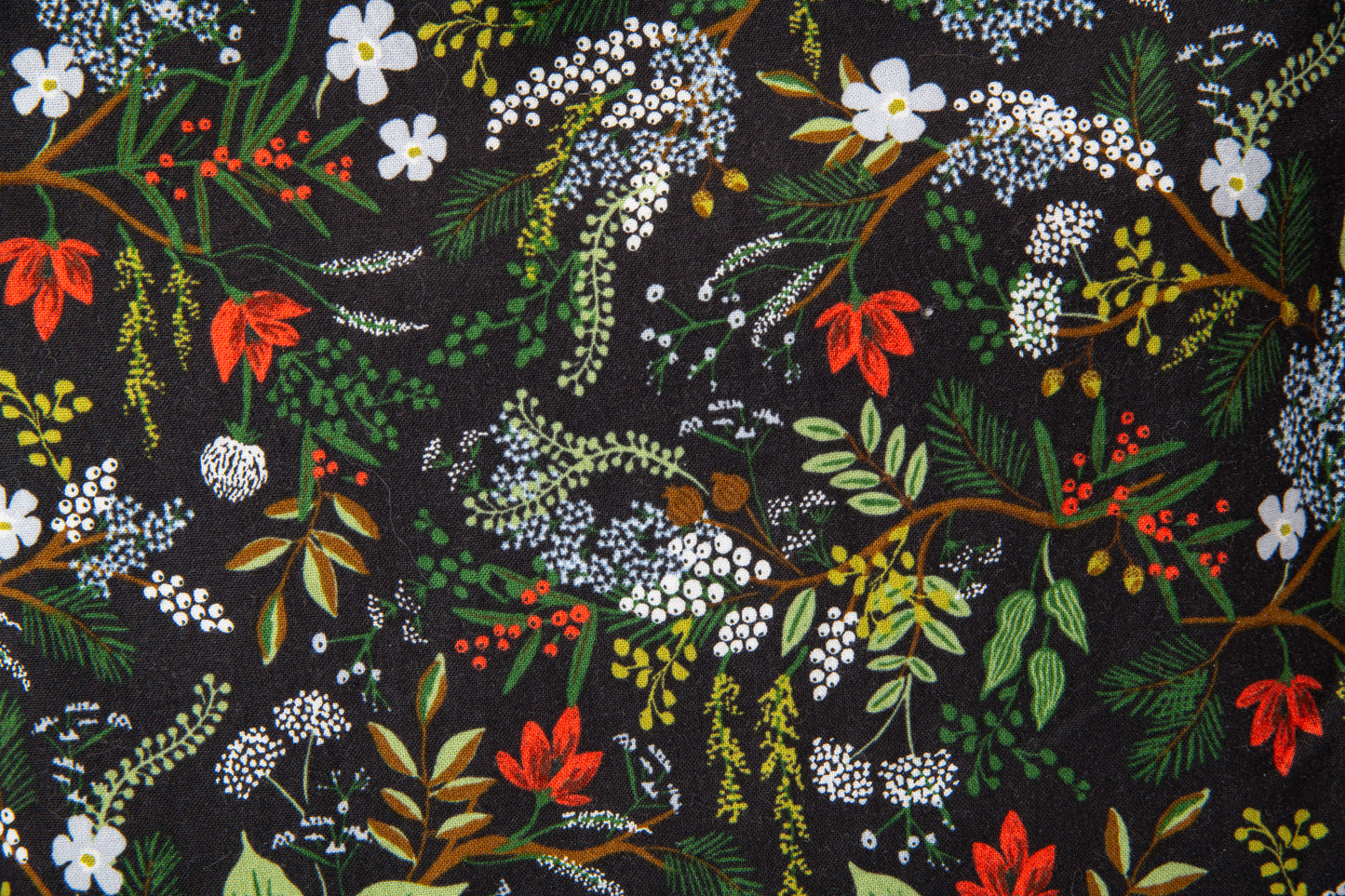 Forêt de la pochette de livres