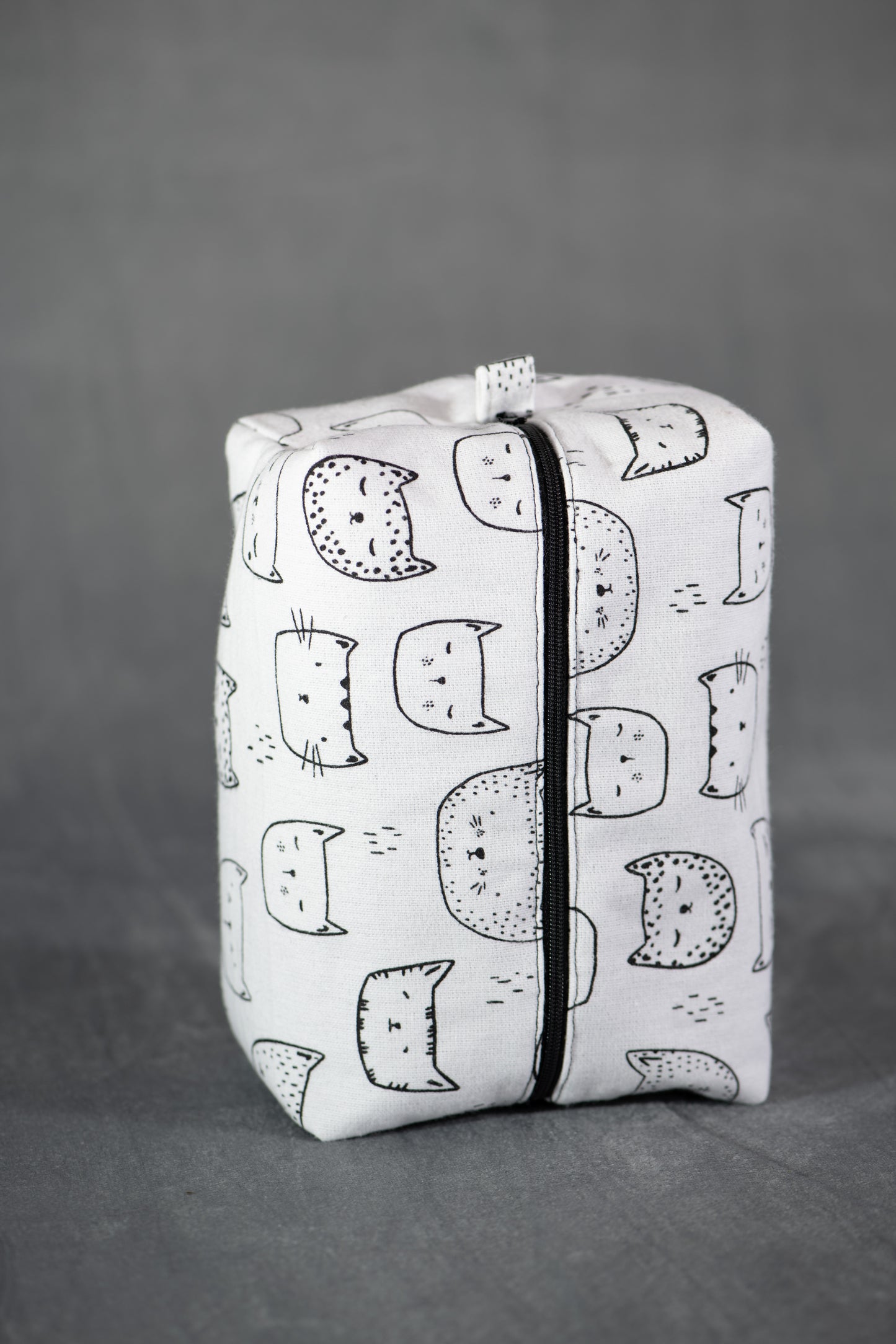 Chat en pochette (boîte)