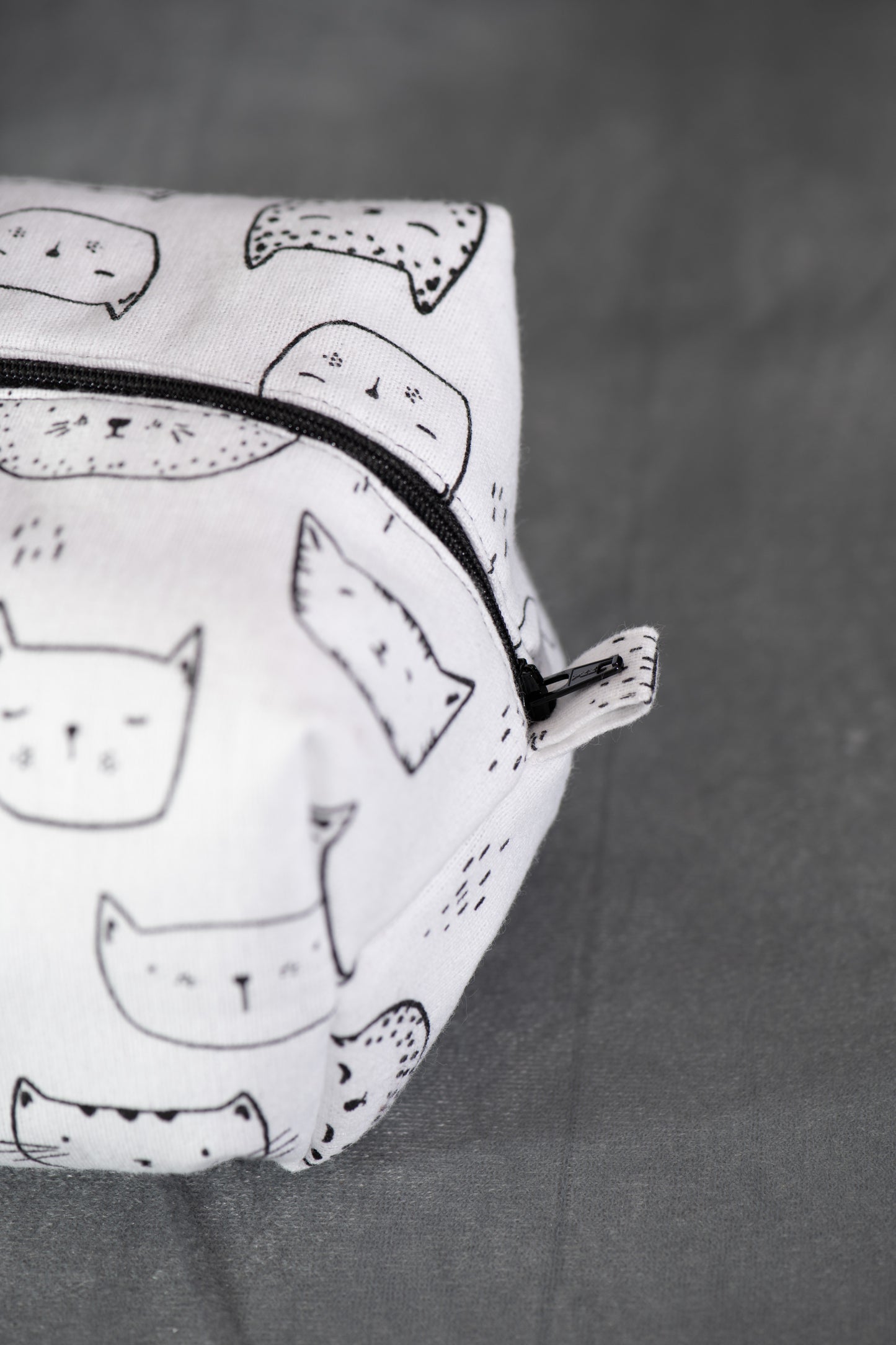 Chat en pochette (boîte)