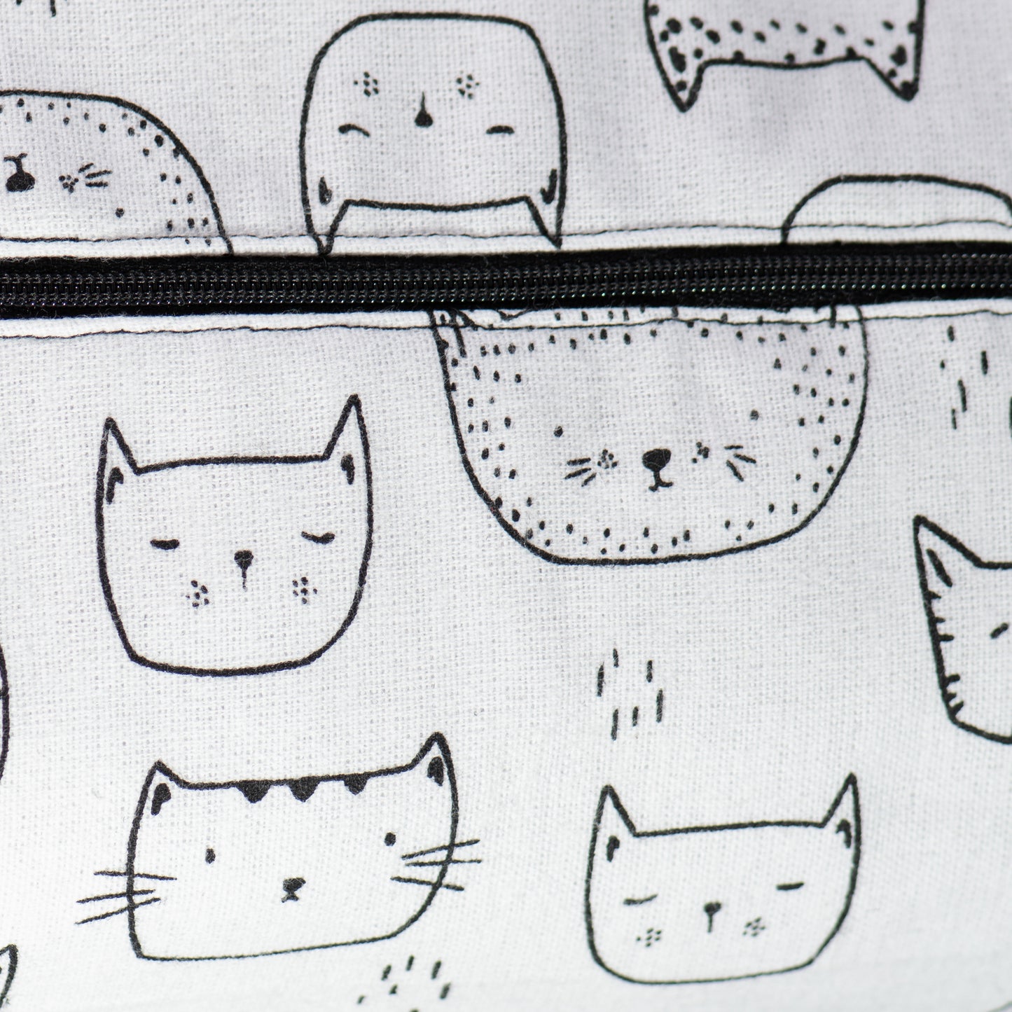 Chat en pochette (boîte)